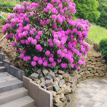 Appartement Emmerich S Neu Errichtete Dg-wohnung