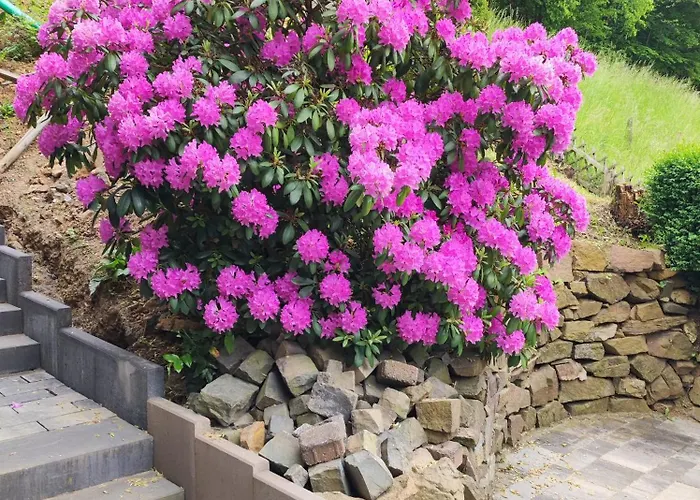 Διαμέρισμα Emmerich S Neu Errichtete Dg-wohnung